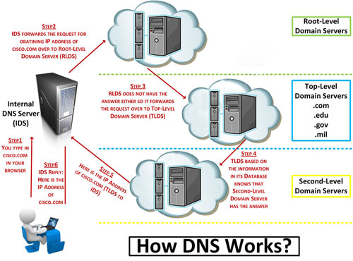 Domain Name System